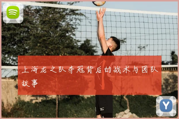 上海龙之队夺冠背后的战术与团队故事