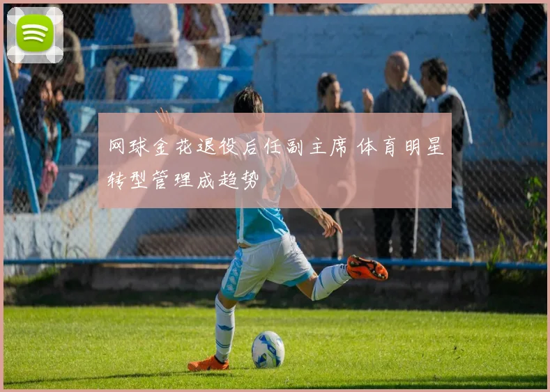网球金花退役后任副主席 体育明星转型管理成趋势