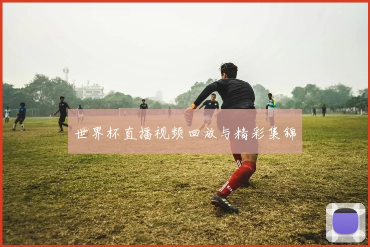 世界杯直播视频回放与精彩集锦