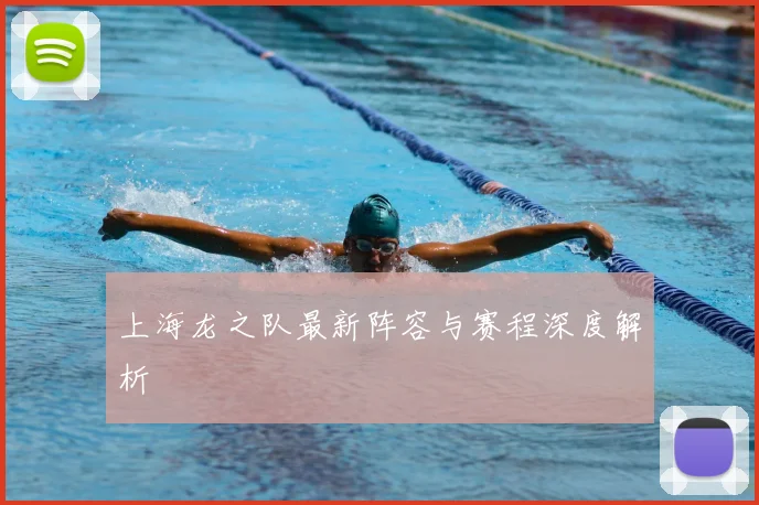 上海龙之队最新阵容与赛程深度解析