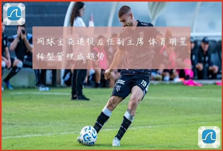 网球金花退役后任副主席 体育明星转型管理成趋势