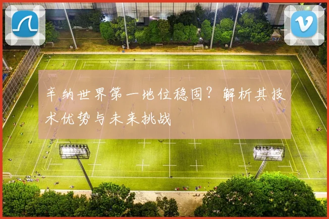 辛纳世界第一地位稳固?解析其技术优势与未来挑战